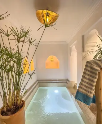 a living room with a pool of water in a room with plants at Riad & SPA Privé - La Perle d'Orane - Marrakech in Marrakech