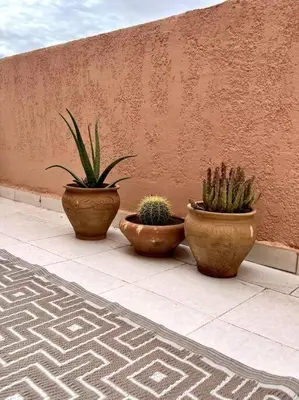 three potted plants sitting on a sidewalk next to a wall at Cozy Apartment In Marrakech in Marrakech