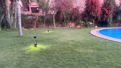 two golf balls in the grass next to a swimming pool at Appartement de prestige au quartier de l’Hivernage, Marrakech in Marrakech