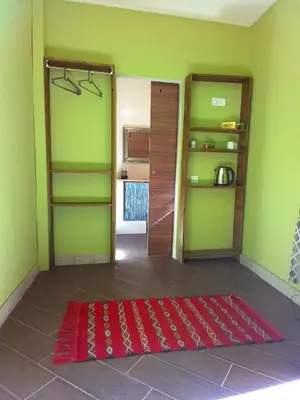 a room with green walls and a red rug at Riad Bouganville Bleu in Marrakech