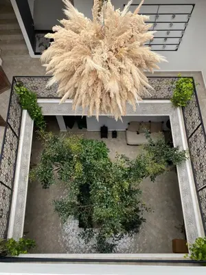 an overhead view of a building with plants and a palm tree at Riad Wadiya, privatif, piscine en rooftop. in Marrakech