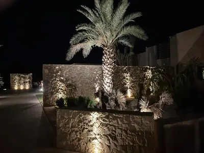a palm tree in a planter with lights at night at Villa Maria, Luxury Marrakech in Marrakech