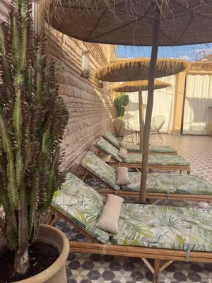 a room with a bunch of chairs and a plant at Riad212 private medina fast Wi-Fi plunge pool in Marrakech