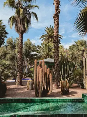 a resort with cacti and palm trees and a swimming pool at The Vogue – Marrakech Centre in Marrakech