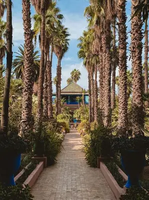 a walkway with palm trees in front of a building at The Vogue – Marrakech Centre in Marrakech