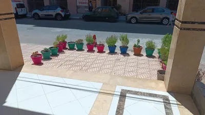 a group of potted plants sitting on a sidewalk at Chez bousfyha in Marrakech