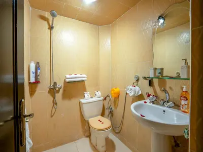 a bathroom with a shower and a toilet and a sink at Pretty Apartment in the Medina in Marrakech