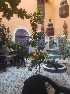 a room filled with potted plants on a floor at Riad dar kader C in Marrakech