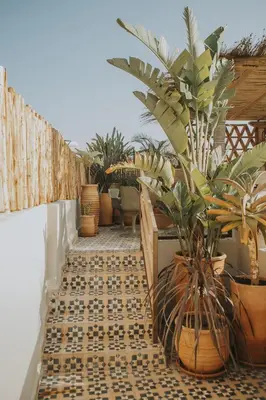 a courtyard with potted plants on a tiled floor at Riad Dar M in Marrakech