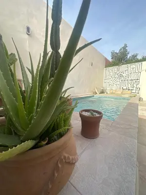 a plant in a pot next to a swimming pool at Maison de ville avec piscine privée in Marrakech