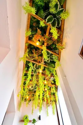 a bunch of plants are hanging on a wall at Appartement Marrakech Hivernage N37 RESIDENCE CAPRICE PALACE in Marrakech