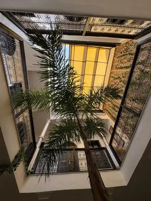 a palm tree in a room with windows at Le riad de l'étoile ocre - COTG in Marrakech