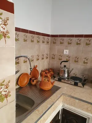 a kitchen sink with utensils on top of it at Riad Le Petit Cactus -Familial et Privatif- in Marrakech