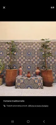 a group of potted plants sitting on a couch at Riad Le Petit Cactus -Familial et Privatif- in Marrakech