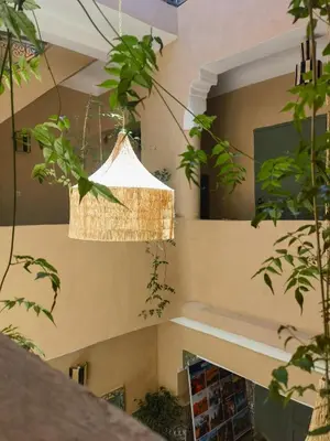 a basket hanging from a wall with plants at Medina Oasis Hostel in Marrakech