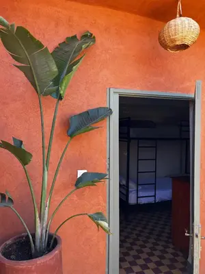 a plant in a pot next to a room with a bunk bed at Medina Oasis Hostel in Marrakech