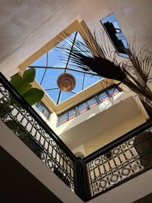 a staircase with a glass ceiling and a plant at Riad Le Saaliya in Marrakech