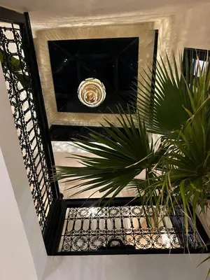 a mirror with a plant in front of it at Riad Le Saaliya in Marrakech
