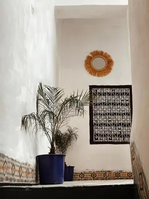 a potted plant sitting on a window sill with a mirror at Medina Oasis Hostel in Marrakech