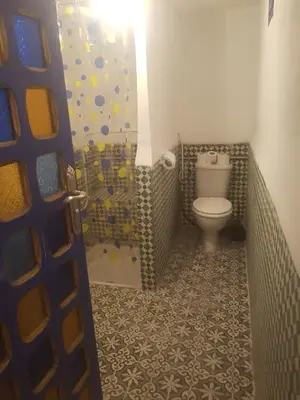a bathroom with a toilet and a shower at RIAD DAR KADER D in Marrakech