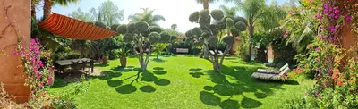 an outdoor garden with benches and trees and flowers at Marrakech, villa 7 Harmonia, pour 6 personnes avec piscine privée in Marrakech