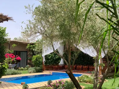 a swimming pool in a yard with a tree and a house at La villa Berbère - Famille uniquement in Marrakech