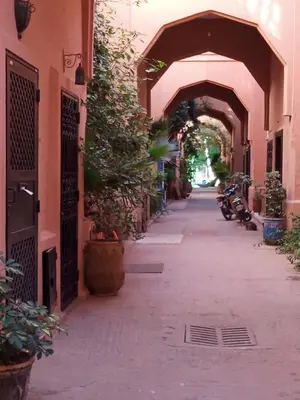 an alley with an archway with potted plants at Riad Sun and Swim Marrakech in Marrakech