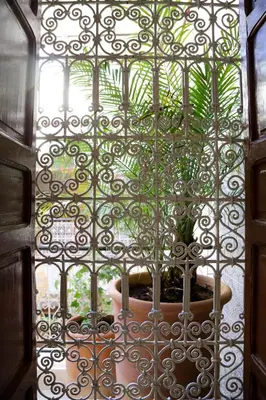 a gate with a plant in a pot in a window at Riad Fridi in Marrakech