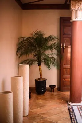 a room with a palm tree in front of a door at Villa Prestige Mansourya in Marrakech