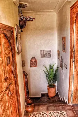 a hallway with a potted plant next to a door at Hostel Dar Ben Youssef in Marrakech