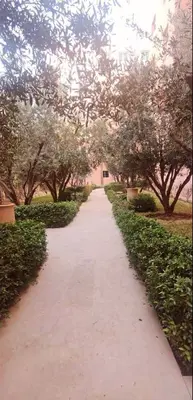a walkway in a park with trees and bushes at appartement moderne,gueliz in Marrakech