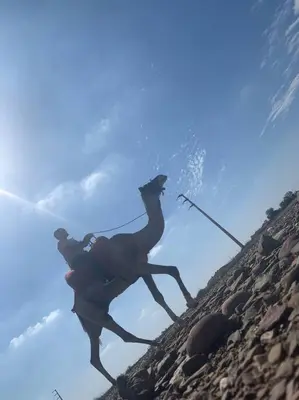 a statue of a man riding a horse on a hill at Step into our little oasis in Marrakech