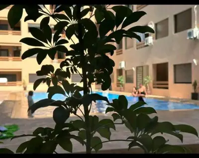 a plant in front of a building with a swimming pool at Appartement de luxe en face la gare à gueliz marrakech in Marrakech