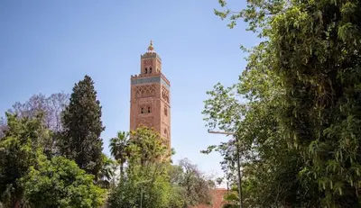 a tall clock tower in the middle of trees at Magnifique villa 5 chambres à Gueliz au Centre de Marrakech in Marrakech