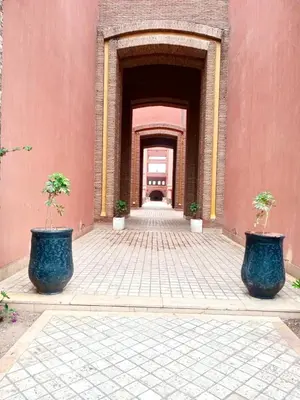 a hallway with two large blue pots with trees in them at Beautiful Hivernage Apartment with Pool & Balcony, Near Attractions in Marrakech