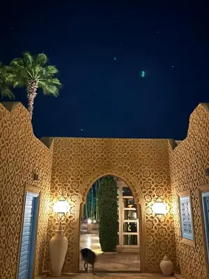 a cat walking through an archway with a palm tree at Villa Shambhala in Marrakech