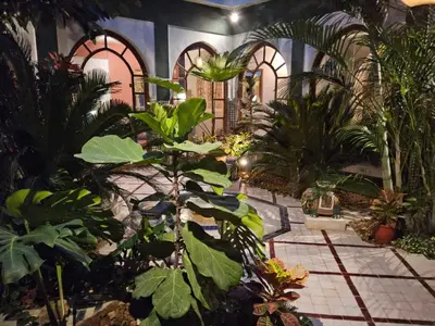 a room filled with lots of plants at Palais Oussoud in Sidi Yahia az Zaʼer