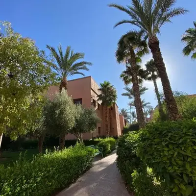 Riad butterfly Marrakech