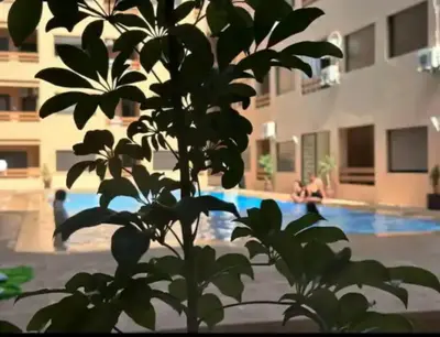 a tree in front of a swimming pool at apparte 2 chambres de luxe en face la gare gueliz in Marrakech