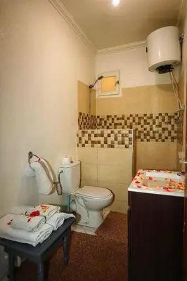 a bathroom with a toilet and a sink at La Nina Appartement Marrakech in Marrakech