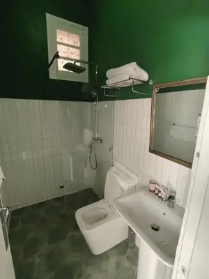 a green bathroom with a toilet and a sink at Charming Medina Riad 8 rooms with pool - Riad INN Medina in Marrakech