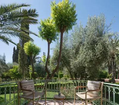 two chairs and palm trees in a garden at Dar Zemora in Marrakech