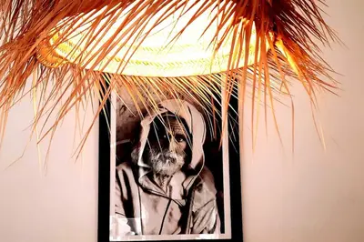 a picture of a dog under a palm leaf at Riad Cosy in Marrakech