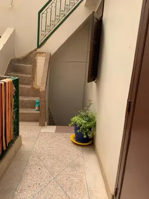 a stairway with a potted plant next to a building at DAR SI AHMED Riad Typique avec Terrasse Panoramique et Vue Exceptionnelle in Marrakech