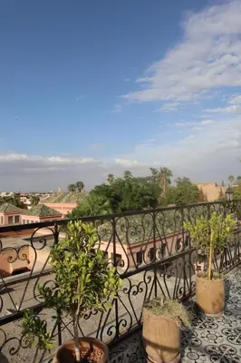 a balcony with potted plants and a view at medina View Apartment in Marrakech