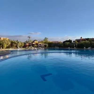 Palmeraie vue piscine 3