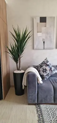 a living room with a blue couch and a potted plant at Firstwood Chic Apartment Hivernage in Marrakech