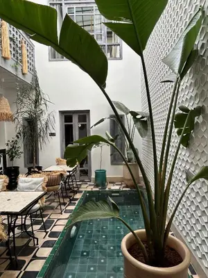 a plant in a pot next to a pool at Riad Be Colors in Marrakech