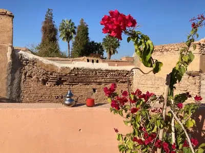a brick wall with red flowers in front of a building at Riad Aslan Place des épices - en exclusivité, wifi in Marrakech