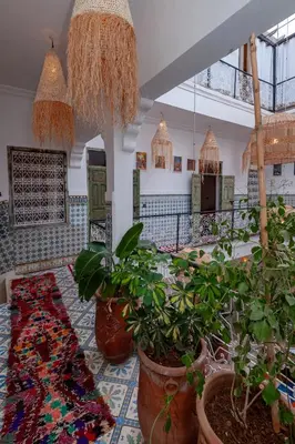a room with lots of potted plants in a building at Riad Bab Taghzout Marrakech in Marrakech